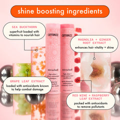 super-sized shine set | mirrorball high shine + protect antioxidant shampoo + conditioner + flash mask