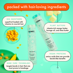 super-sized strength repair set | the kure shampoo, conditioner + multi-task treatment