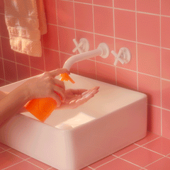 hand wash | infused with sea buckthorn berry