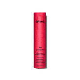 the protector | color protect + strengthen shampoo