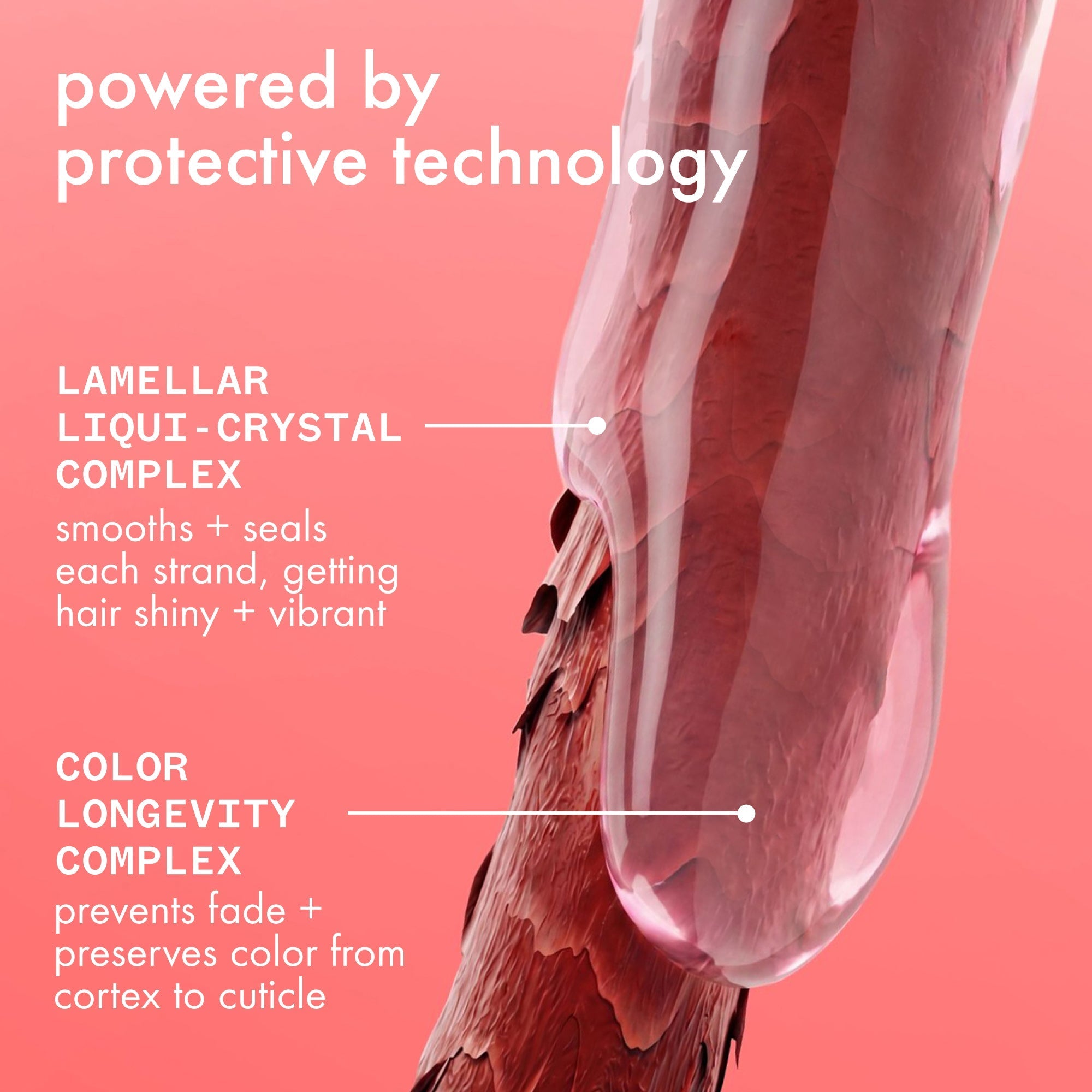 the protector | color protect + strengthen treatment