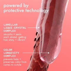 the protector	| color protect + strengthen shampoo