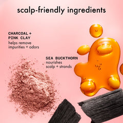 reset | clarifying + cleansing gel shampoo