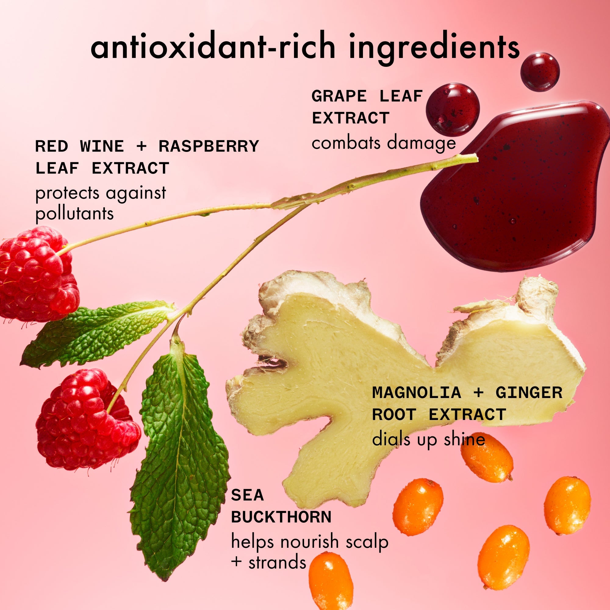 mirrorball | high shine + protect antioxidant conditioner