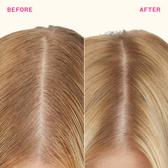 perk up plus | extended clean dry shampoo