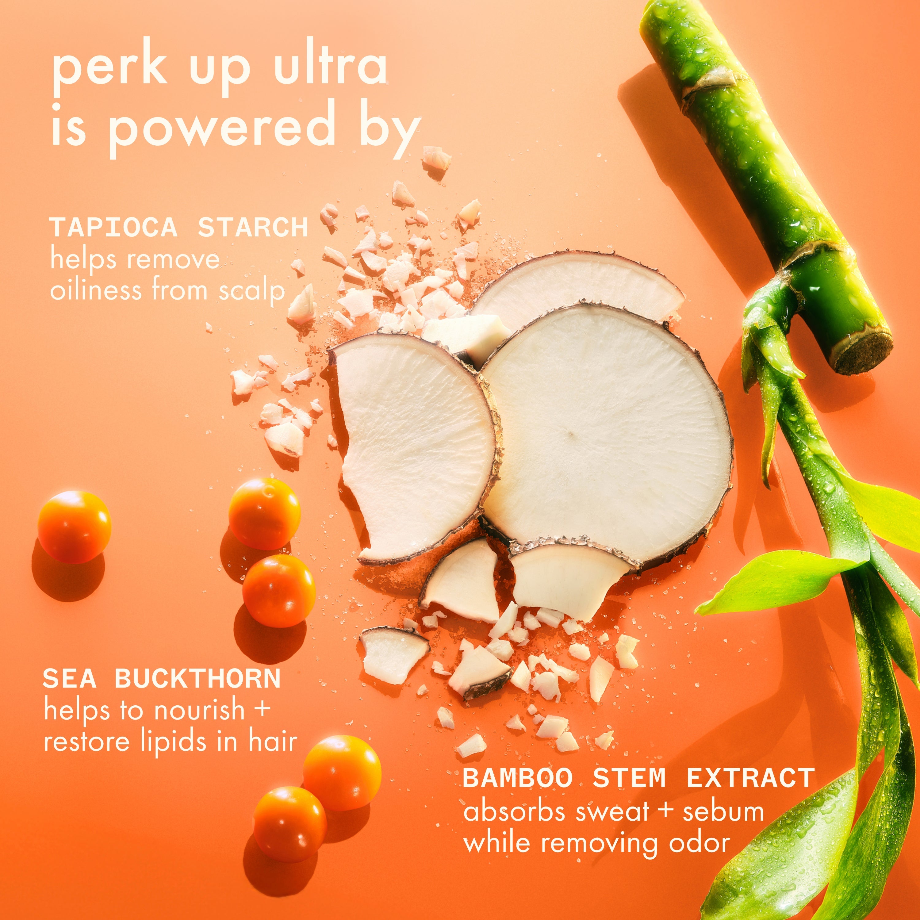 perk up ultra | oil control dry shampoo