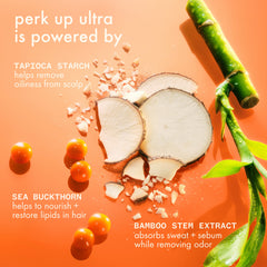 perk up ultra | oil control dry shampoo