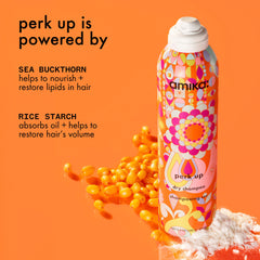 perk up | dry shampoo