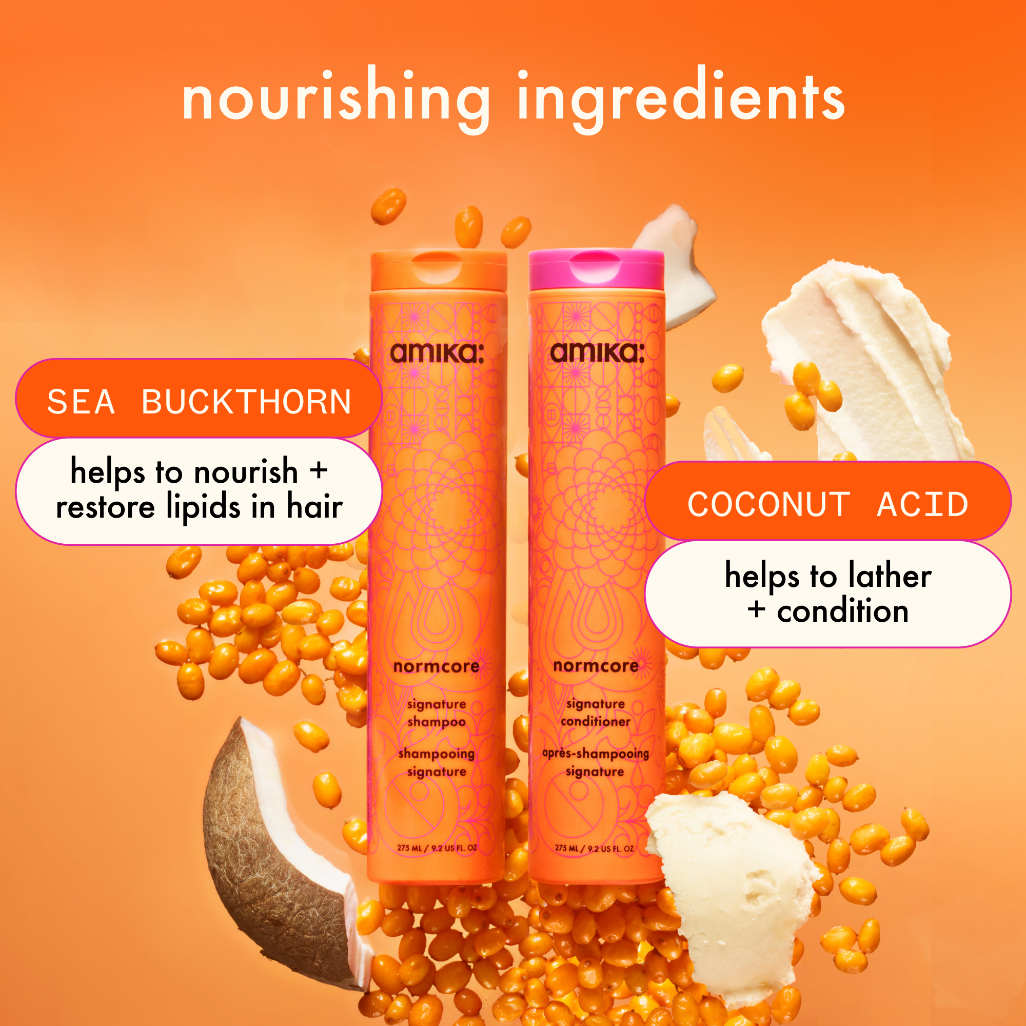 supersized superfruit | nourish + style set