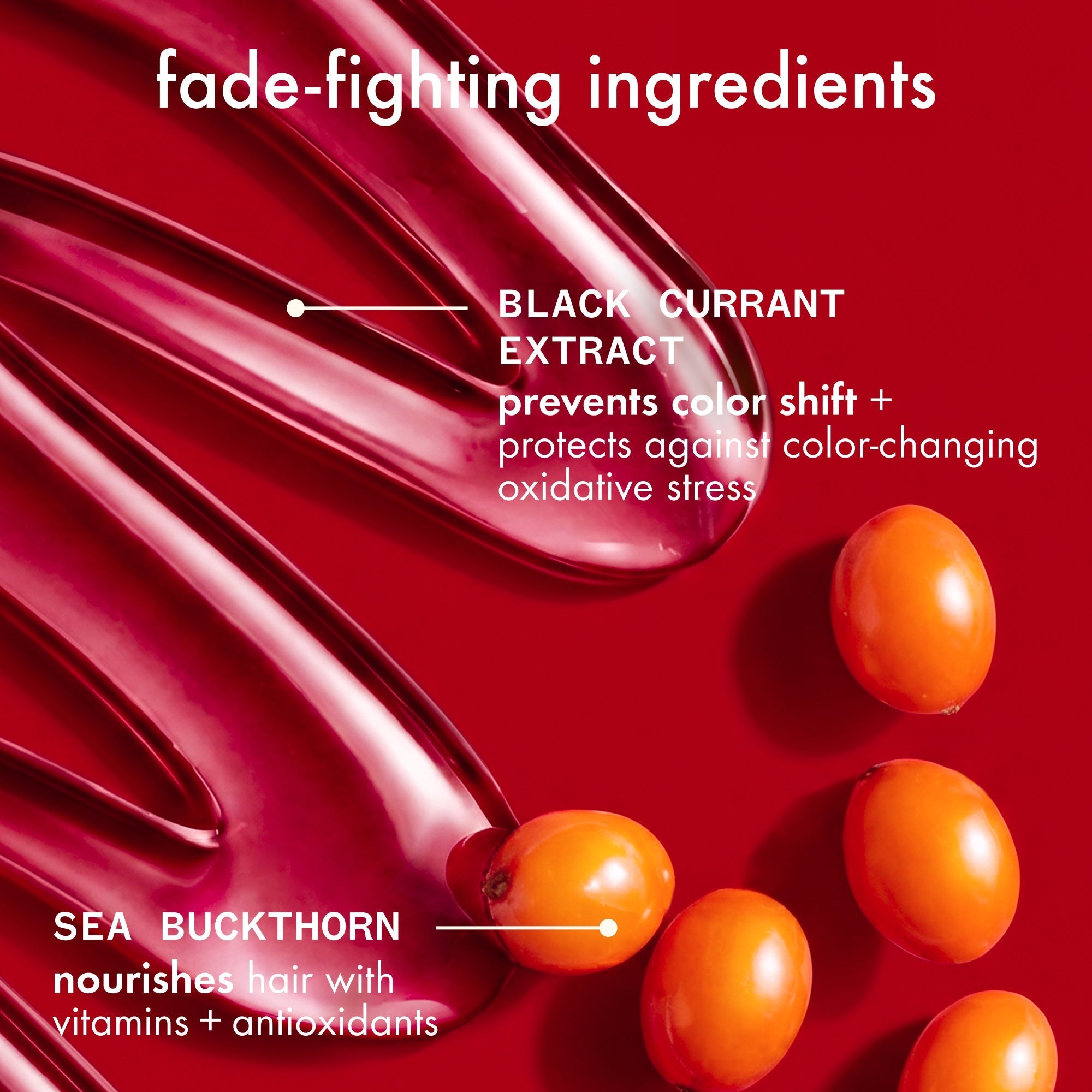 the protector	| color protect + strengthen shampoo