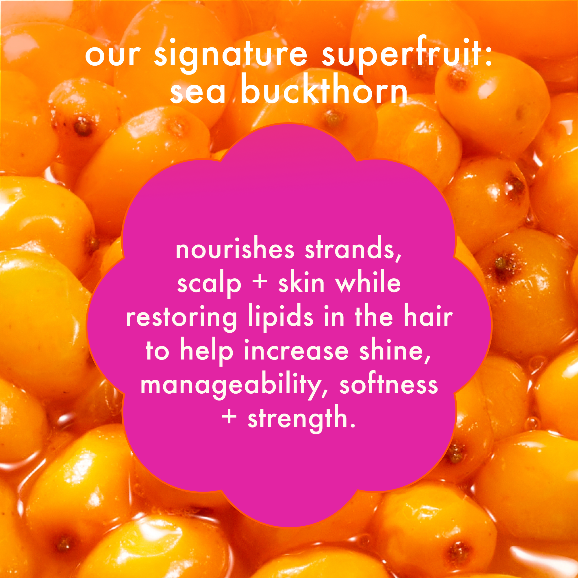 superfruit star | lightweight hair styling + heat defense oil