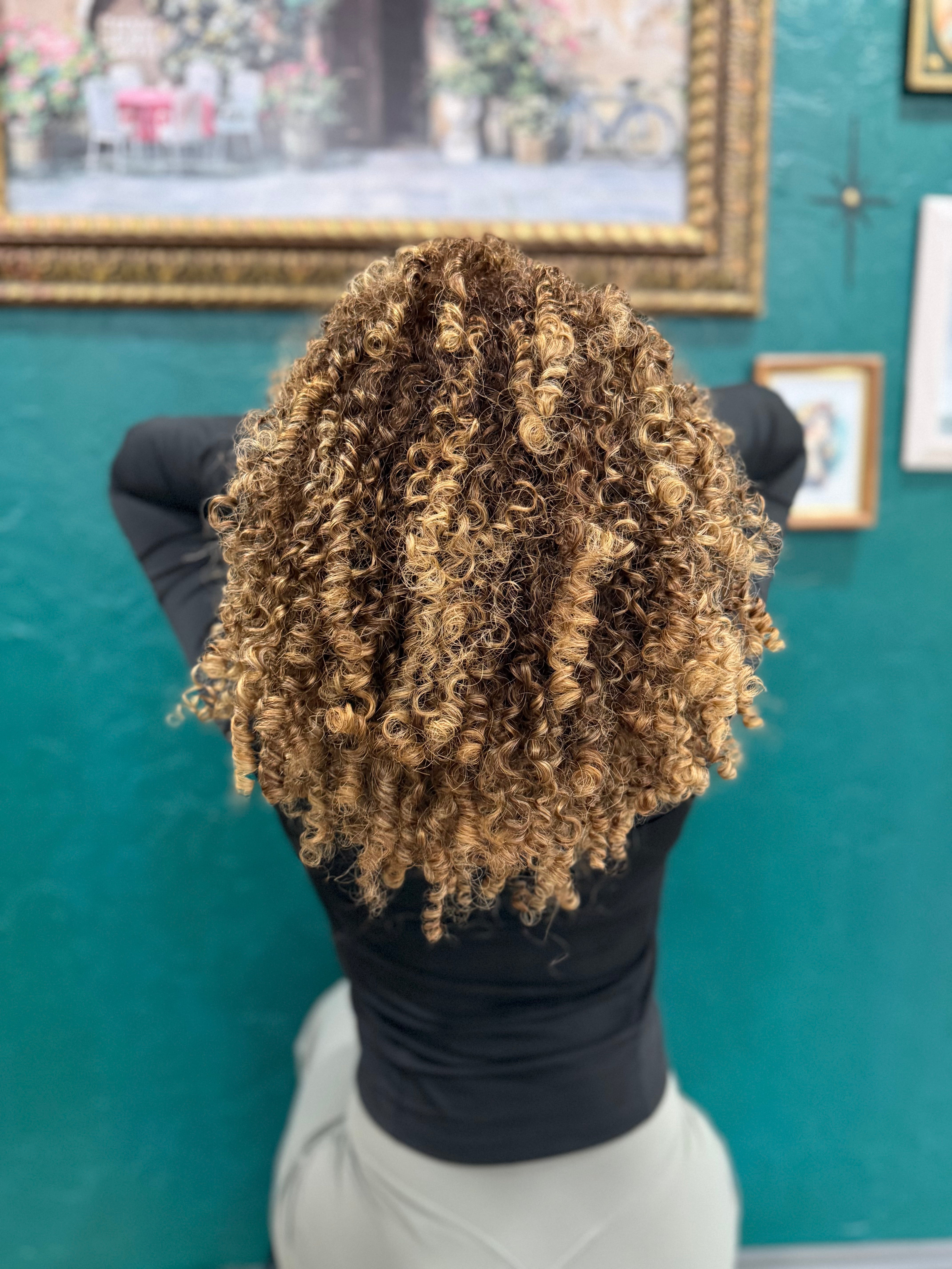 defined curls | anti-frizz routine bundle